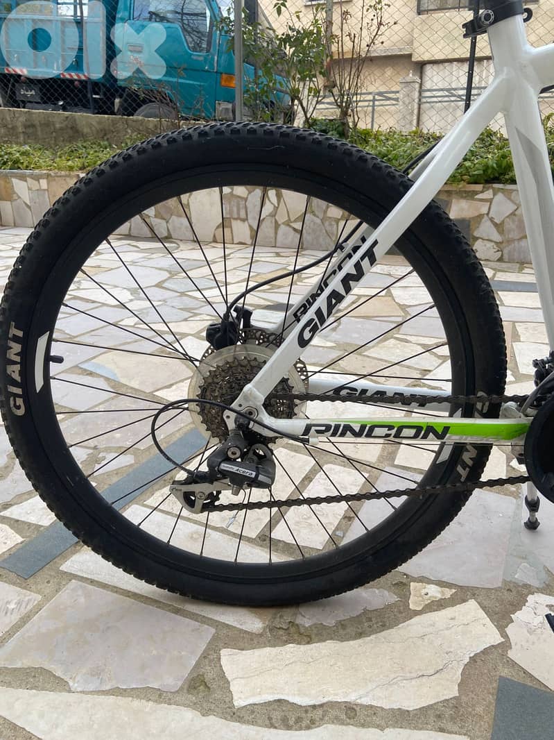 Giant rincon disc 26" 6