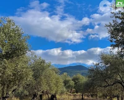 Prime investment opportunity,Zgharta Besbeel/زغرتا  بسبيل REF#ZY135213