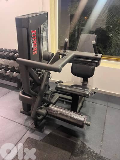 Leg Extension - Curl - Fitness Art - Best Quality