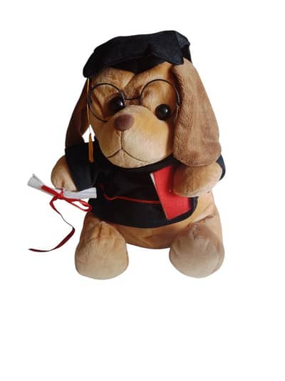 graduation dog plush