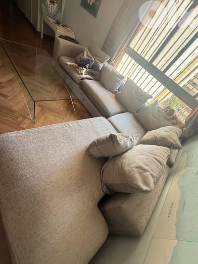 Gray L-Shaped Sofa (Dogs Not Included)