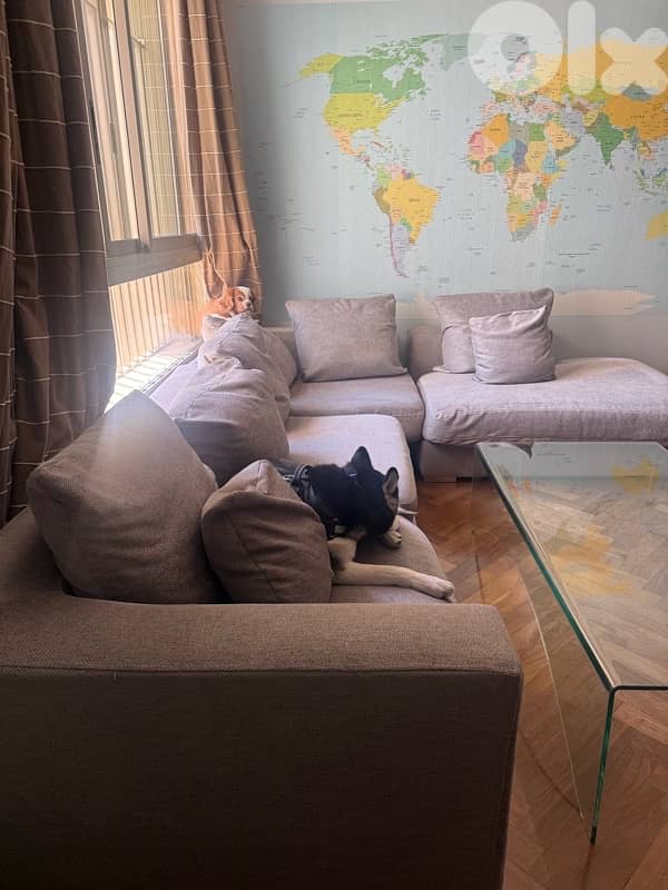 Gray L-Shaped Sofa (Dogs Not Included) 2
