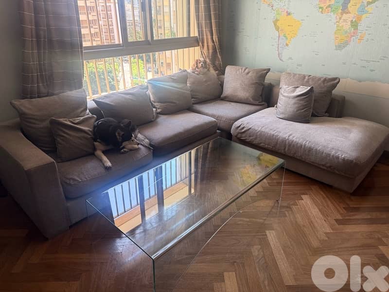 Gray L-Shaped Sofa (Dogs Not Included) 3