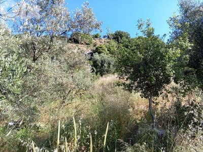 أرض للبيع في كفرنبرخ الشوف land for sale in chouf