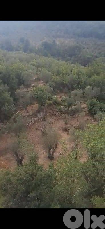 أرض للبيع في الشوف غريفة land for sale in chouf