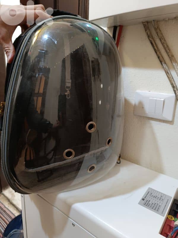 cat backpack, bird bqckpack, bird bag, cat bag 1