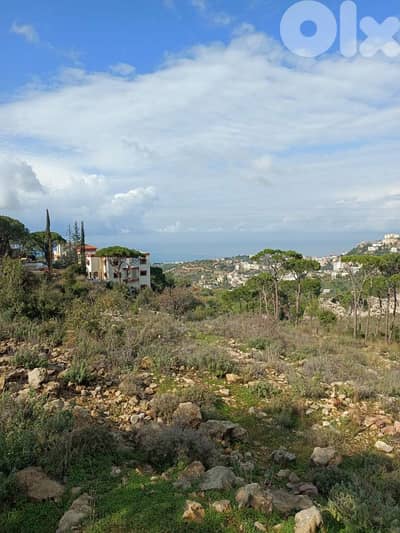 land for sale In Bsatine أرض للبيع في البساتين عاليه