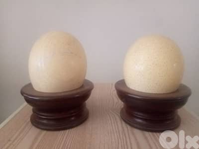 Ostrich eggs 2 pecse same whit stand