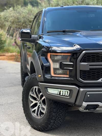 Ford F150/Raptor 2017