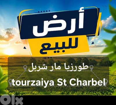 land for sale Tourzaiya st Charbel ارض للبيع طورزيا