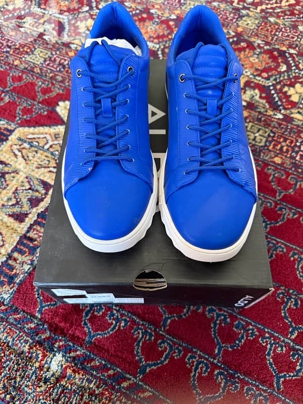 Aldo shoes for men 1