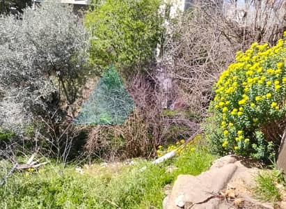 450 Old house+3 plots of land+2 garden 4sale in Basatineالبساتين-عرمون