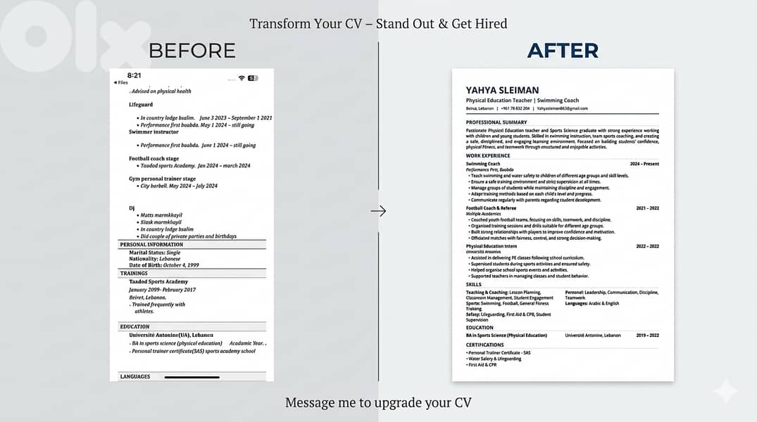 Professional Cv Design 1