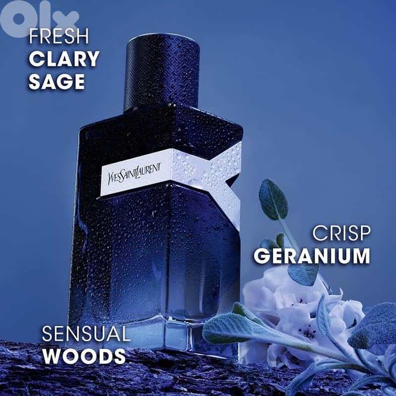 Yves Saint Laurent Y Eau de Parfum 100 mL 3