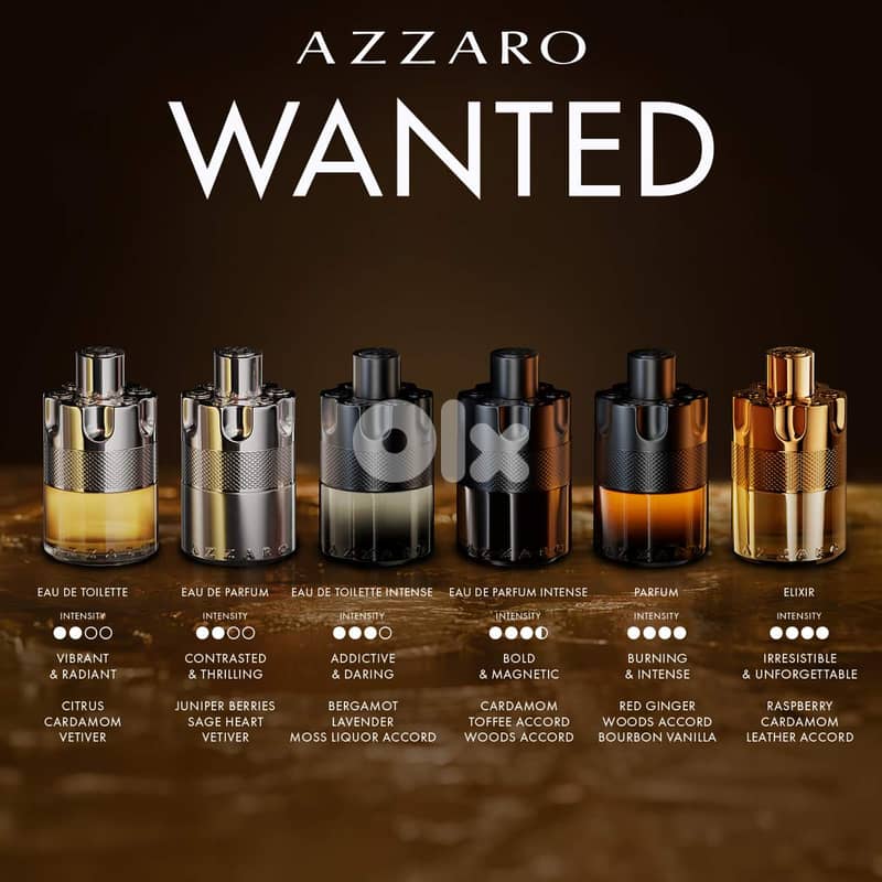 Azzaro Wanted (Eau de Toilette) - 100 mL 1