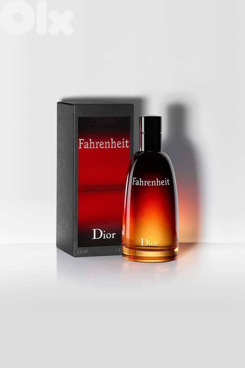 Dior Fahrenheit Eau de Toilette 100mL 1