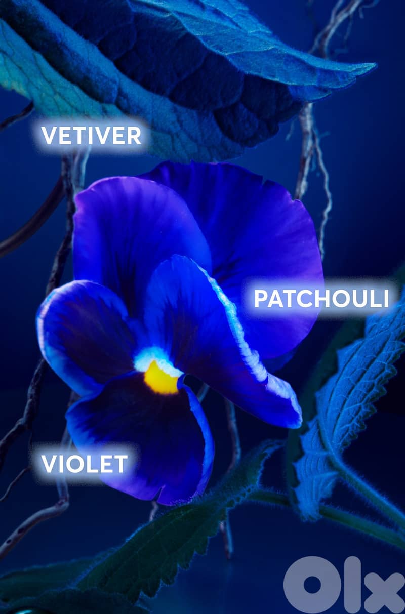 Hugo Boss Bottled Triumph Elixir Eau de Parfum 100 ml 3