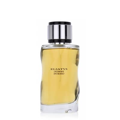 Elsatys Intenso Eau de Parfum 100 ml (Men)