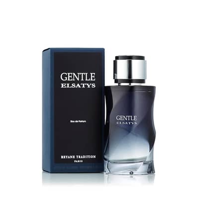 Reyane Tradition Gentle Elsatys Eau de Parfum 100 ml (Men)