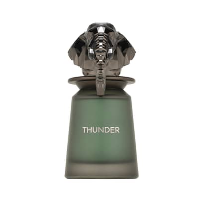 French Avenue Thunder Eau de Parfum 100 mL (Men)