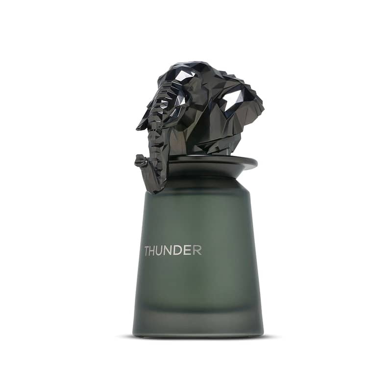 French Avenue Thunder Eau de Parfum 100 mL (Men) 1