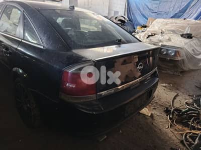 زغرتا العقبة