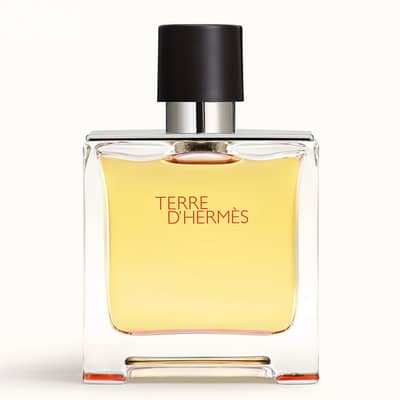 Hermès Terre d'Hermès Pure Parfum – 75 mL - Men