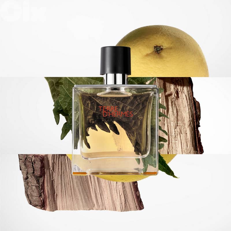 Hermès Terre d'Hermès Pure Parfum – 75 mL - Men 1