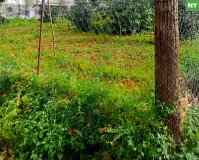 Easy access to main roads ,Heart of Antelias/أنطلياس REF#NY135306