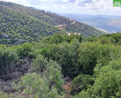 LAND/Derbilla/ Batroun/دربلا – البترون/investment project REF#YC135309