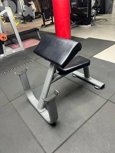 Biceps Bench