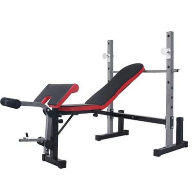Bench adjustable with leg extension and biceps