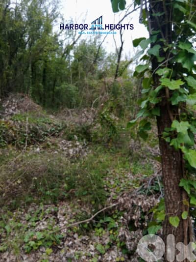 Land for Sale in Lehfed - أرض للبيع في لهفد