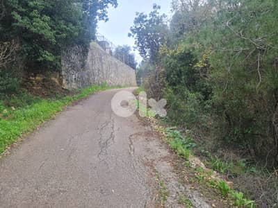 Debbiyeh Land – Ready to Build - عقار في الدبية بإطلالة مميزة