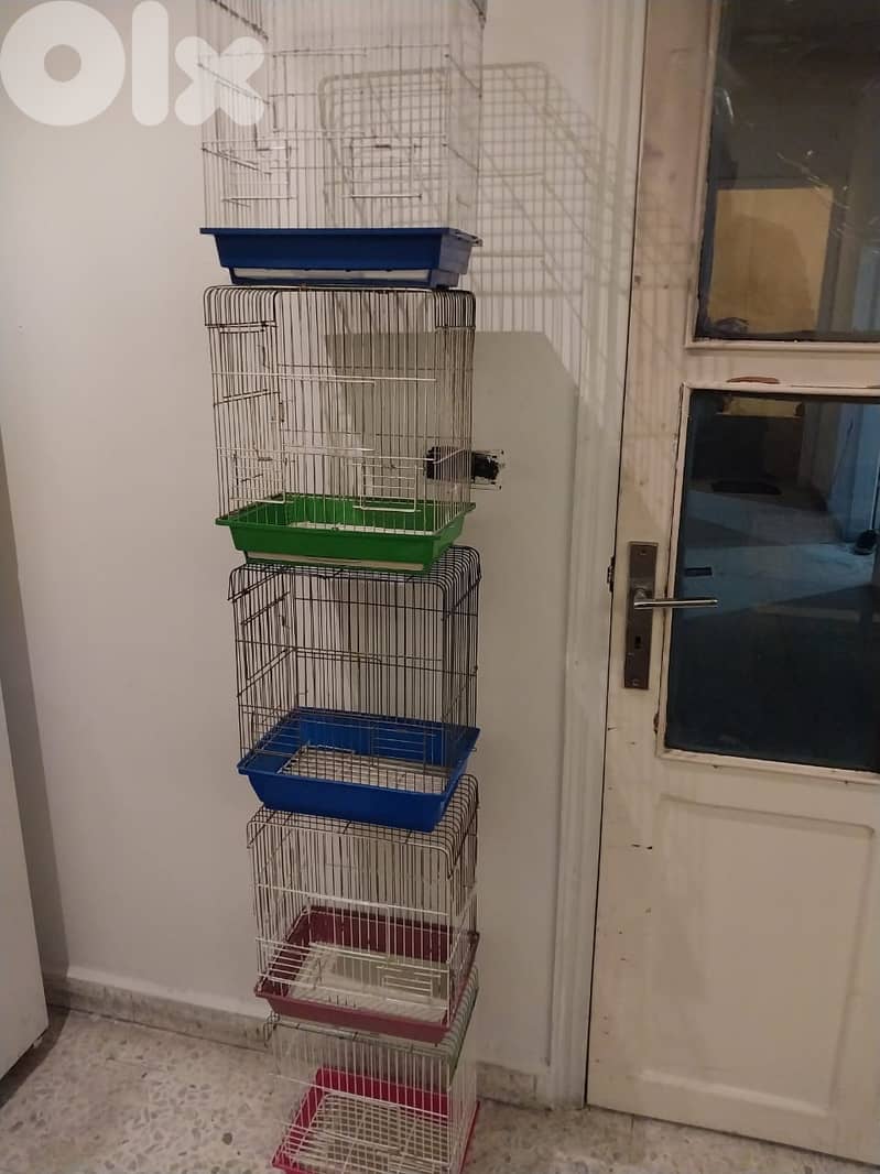 Birds cages different sizes 1