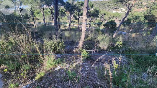 Unique Land for Sale Bekfaya | 6100 Sq. m