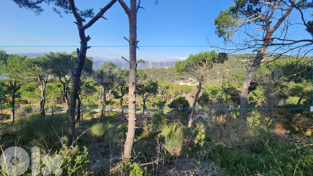 Unique Land for Sale Bekfaya | 6100 Sq. m 1