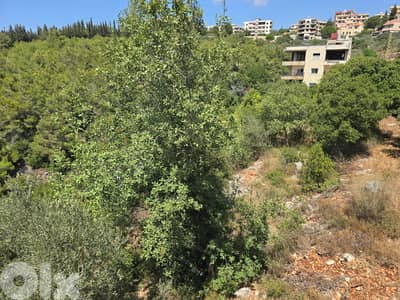 Prime Land for Sale in Borjein  -    أرض مميزة للبيع في منطقة البرجين