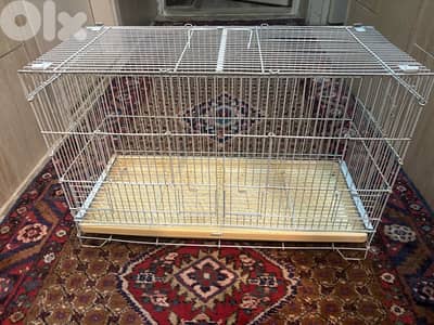 birds cage