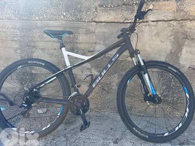 bulls imported from germany