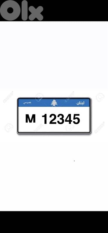 12345 special plate number