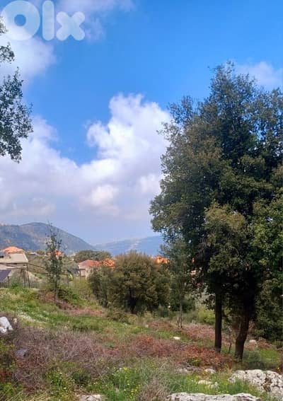 lands for sale in Douma أرض رائعة للبيع في دوما