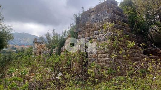 Old stone house in Doumaبيت حجر قديم بدوما