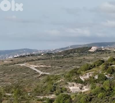 Land for sale in Berbara/ Seaview