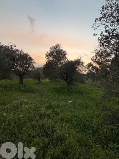 land for sale in bterram al koura