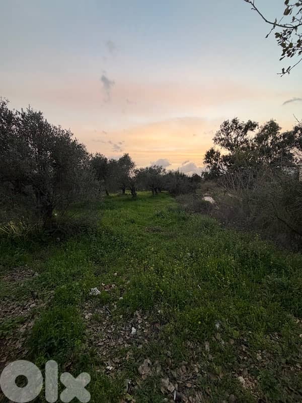 land for sale in bterram al koura 1