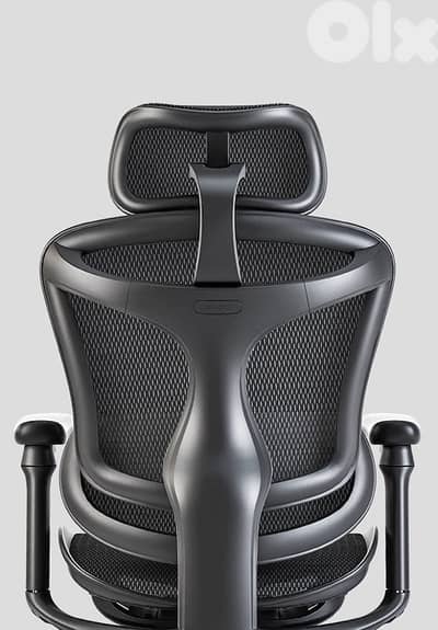 Sihoo C300 Ergonomic Office Chair with Advanced Back Support