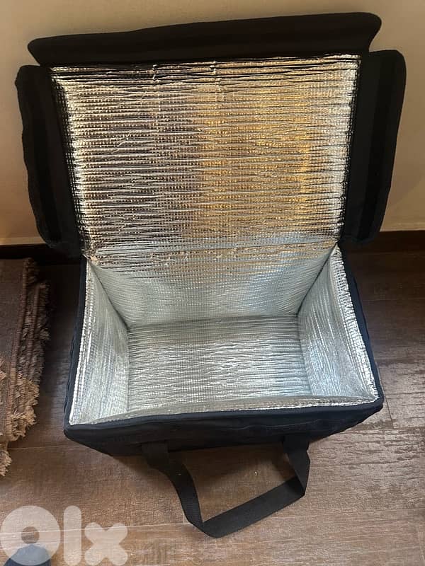 cooler and heater bag 1