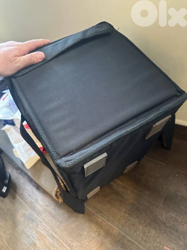 cooler and heater bag 2