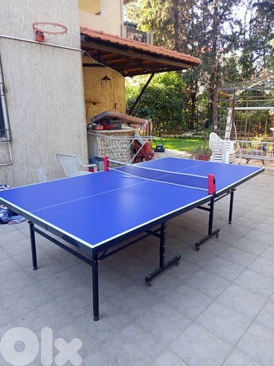Ping pong table